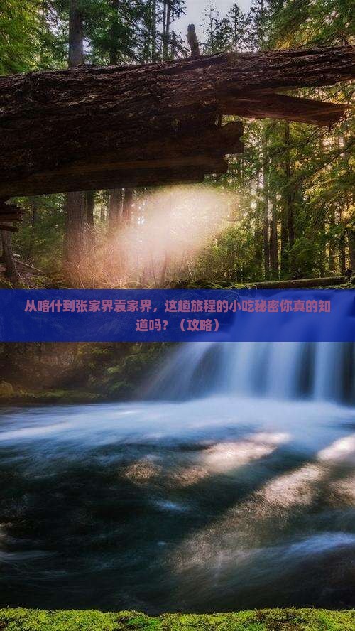 喀什去张家界袁家界旅游小吃