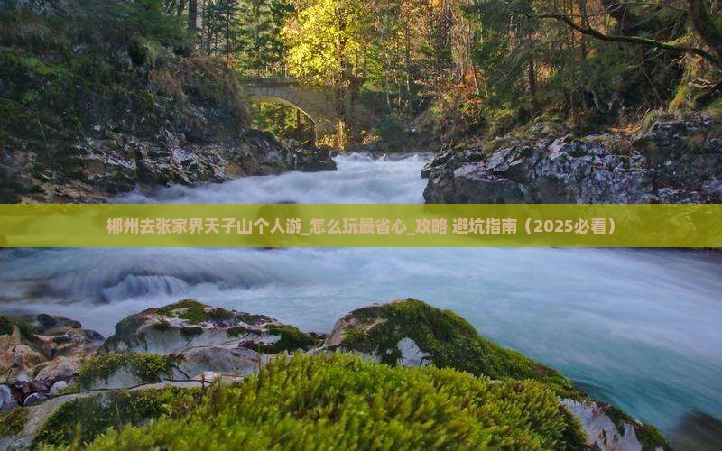 郴州去张家界天子山个人游