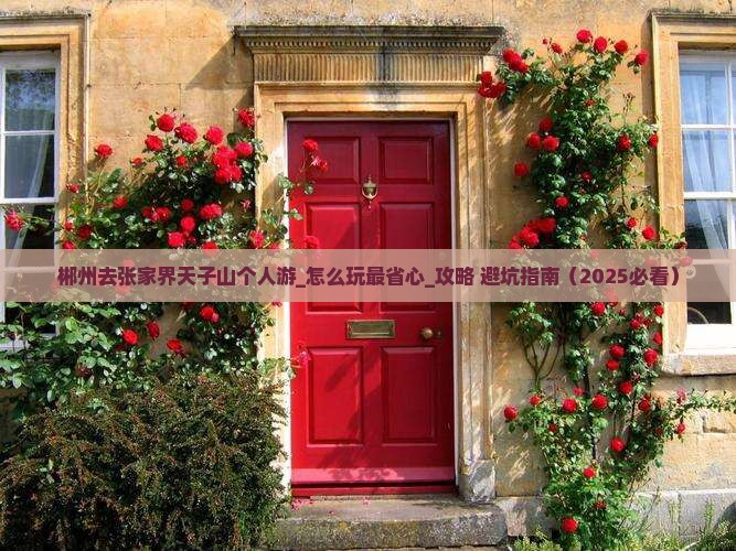 郴州去张家界天子山个人游