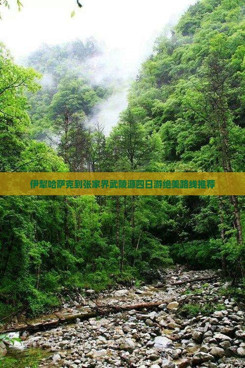 伊犁哈萨克到张家界武陵源四日游