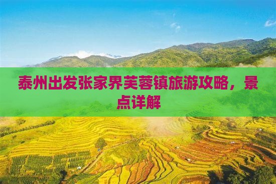 泰州去张家界芙蓉镇攻略