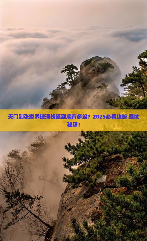天门到张家界玻璃栈道必去地