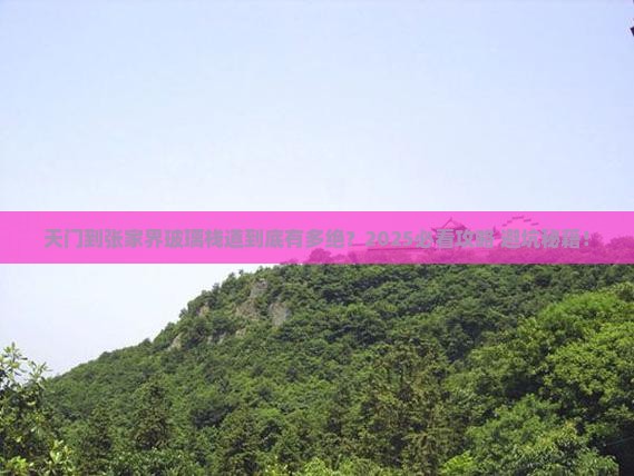 天门到张家界玻璃栈道必去地