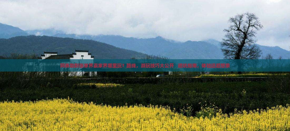 阿泰勒到张家界袁家界哪里玩