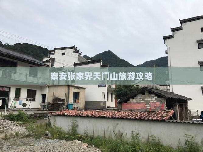 泰安去张家界天门山旅游