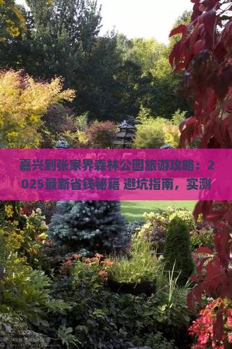 嘉兴到张家界森林公园旅游