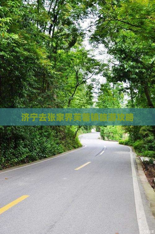 济宁去张家界芙蓉镇旅游