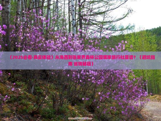 海西到张家界森林公园旅行社
