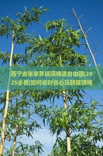 西宁去张家界玻璃栈道自由团