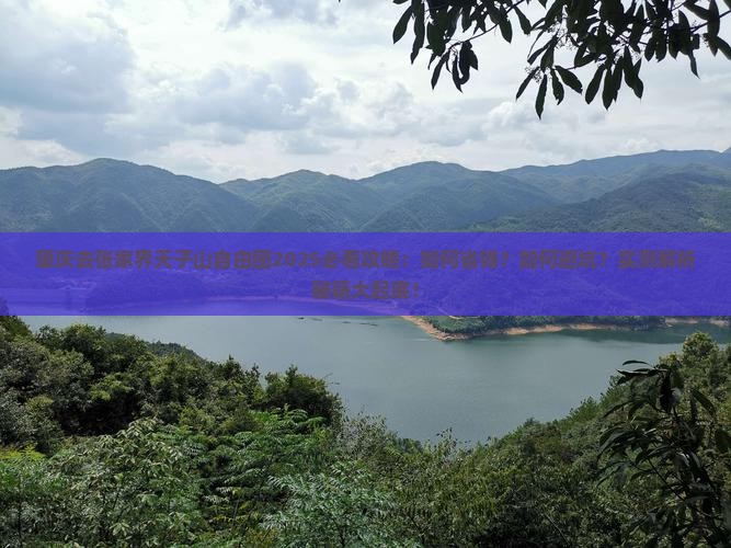 肇庆去张家界天子山自由团