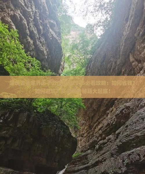 肇庆去张家界天子山自由团
