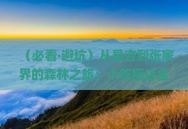 昌吉去张家界森林公园旅游小吃