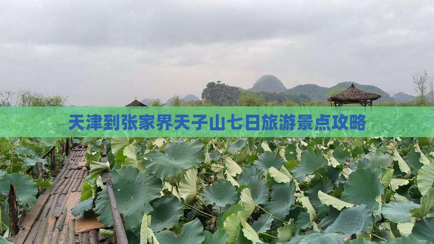 天津到张家界天子山七日游