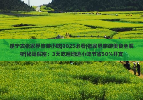 遂宁去张家界旅游小吃