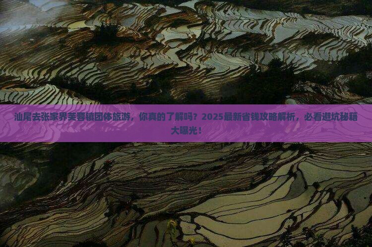 汕尾去张家界芙蓉镇团体旅游