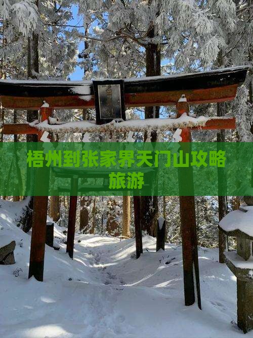 梧州到张家界天门山个人游