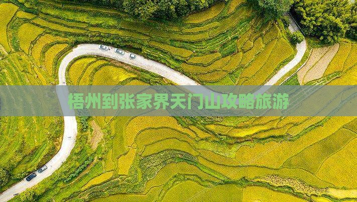 梧州到张家界天门山个人游