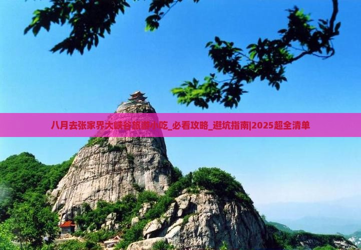 八月去张家界大峡谷旅游小吃