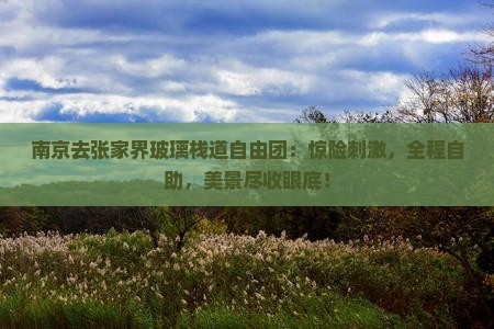 南京去张家界玻璃栈道自由团