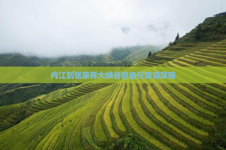 内江到张家界大峡谷自由行