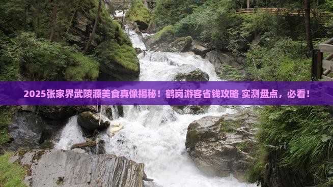 鹤岗到张家界武陵源旅游小吃 鹤岗到张家界武陵源旅游小吃