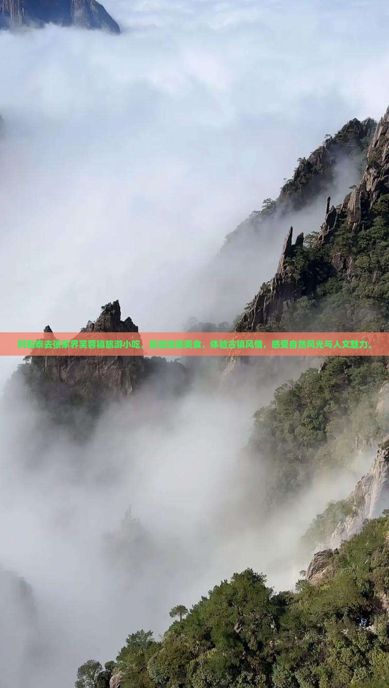 阿勒泰去张家界芙蓉镇旅游小吃