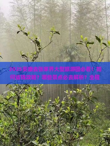 安康去张家界大型旅游团