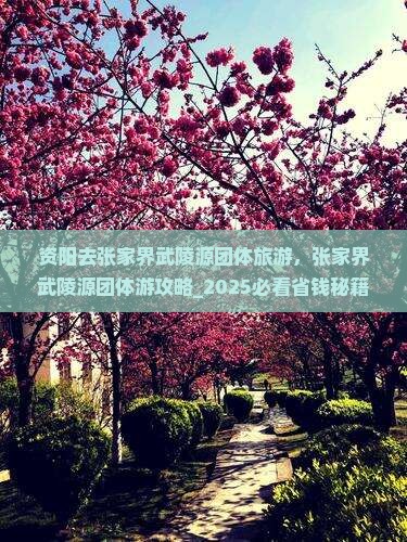 资阳去张家界武陵源团体旅游