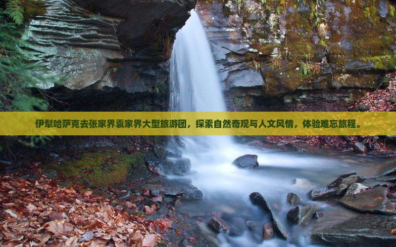 伊犁哈萨克去张家界袁家界大型旅游团