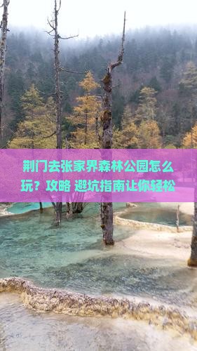 荆门去张家界森林公园旅游