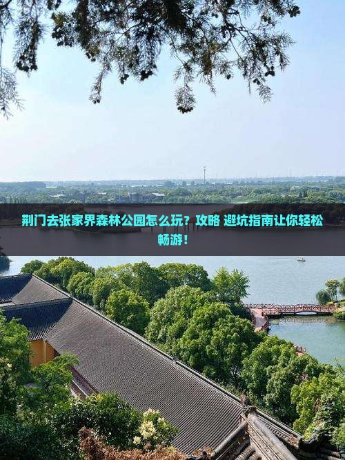 荆门去张家界森林公园旅游