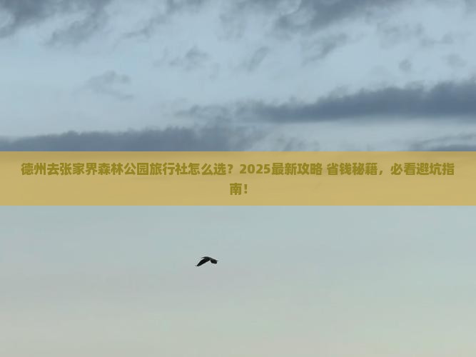 德州去张家界森林公园旅行社