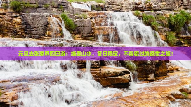 元旦去张家界四日游