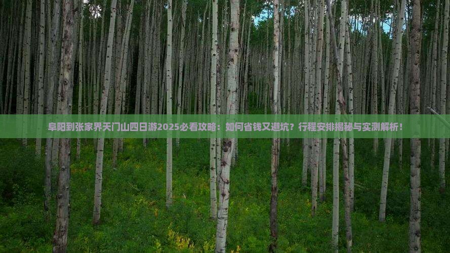 阜阳到张家界天门山四日游
