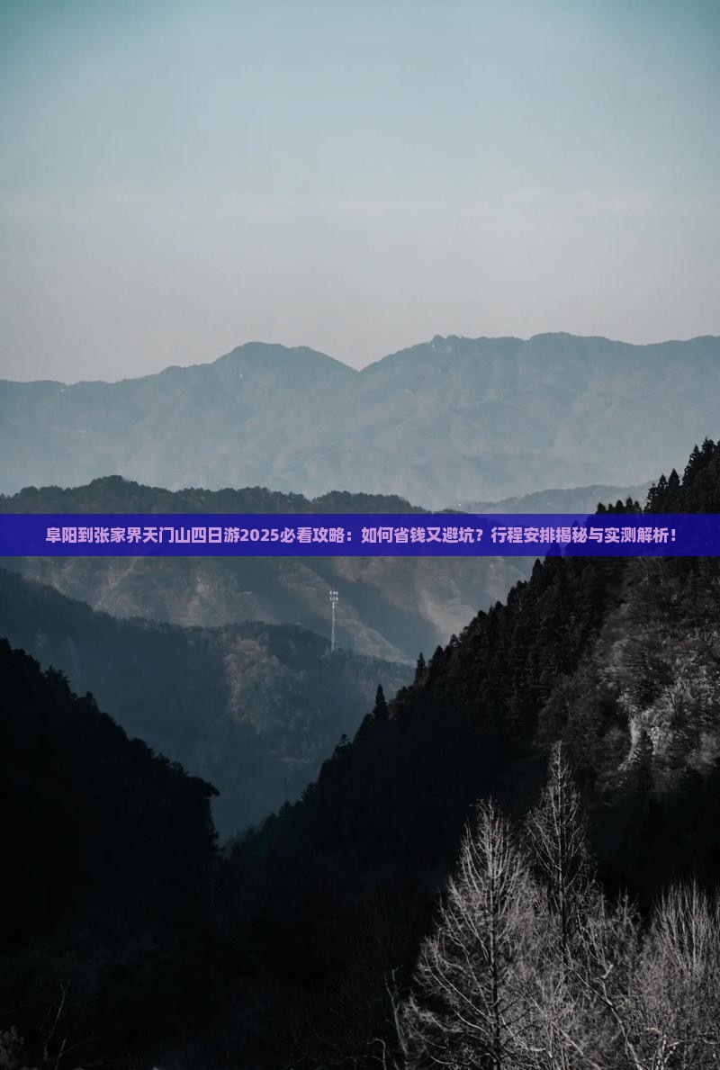 阜阳到张家界天门山四日游