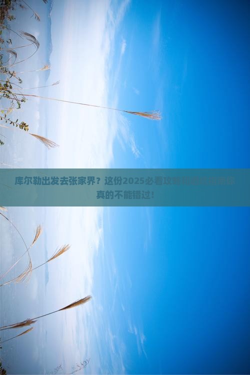 库尔勒去张家界森林公园旅游
