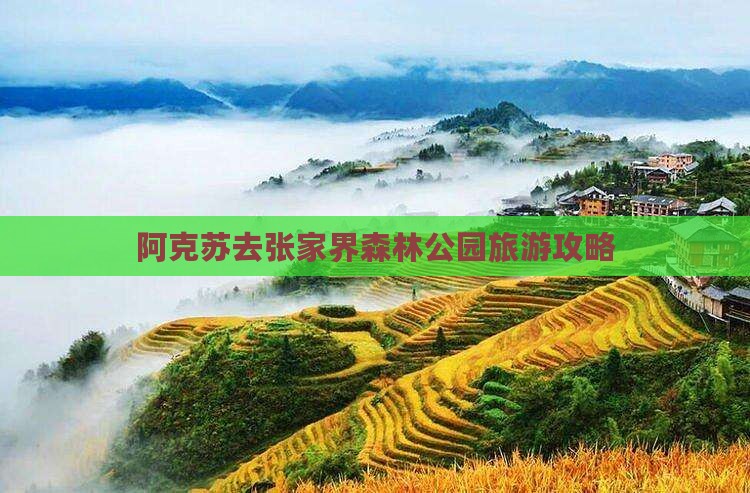 阿克苏去张家界森林公园攻略