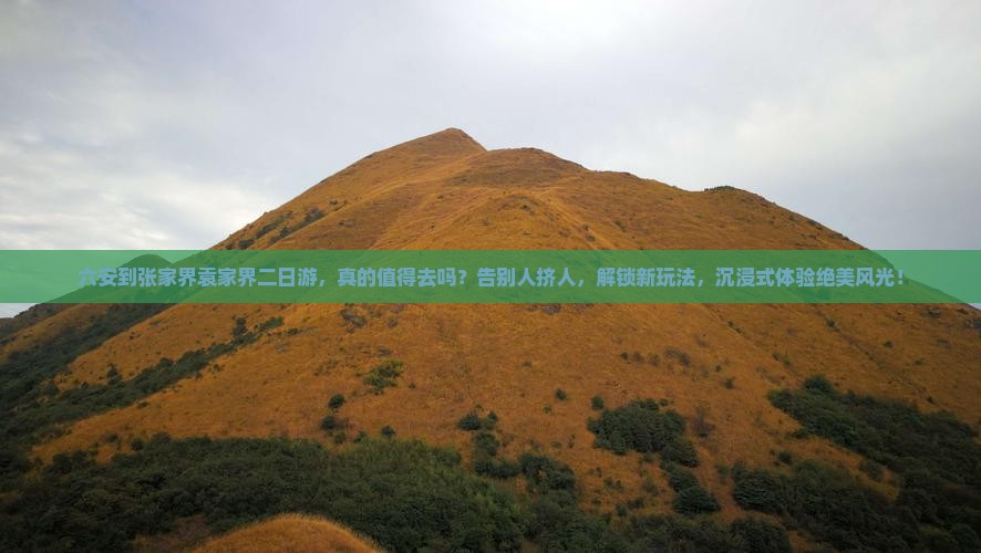 六安到张家界袁家界二日游