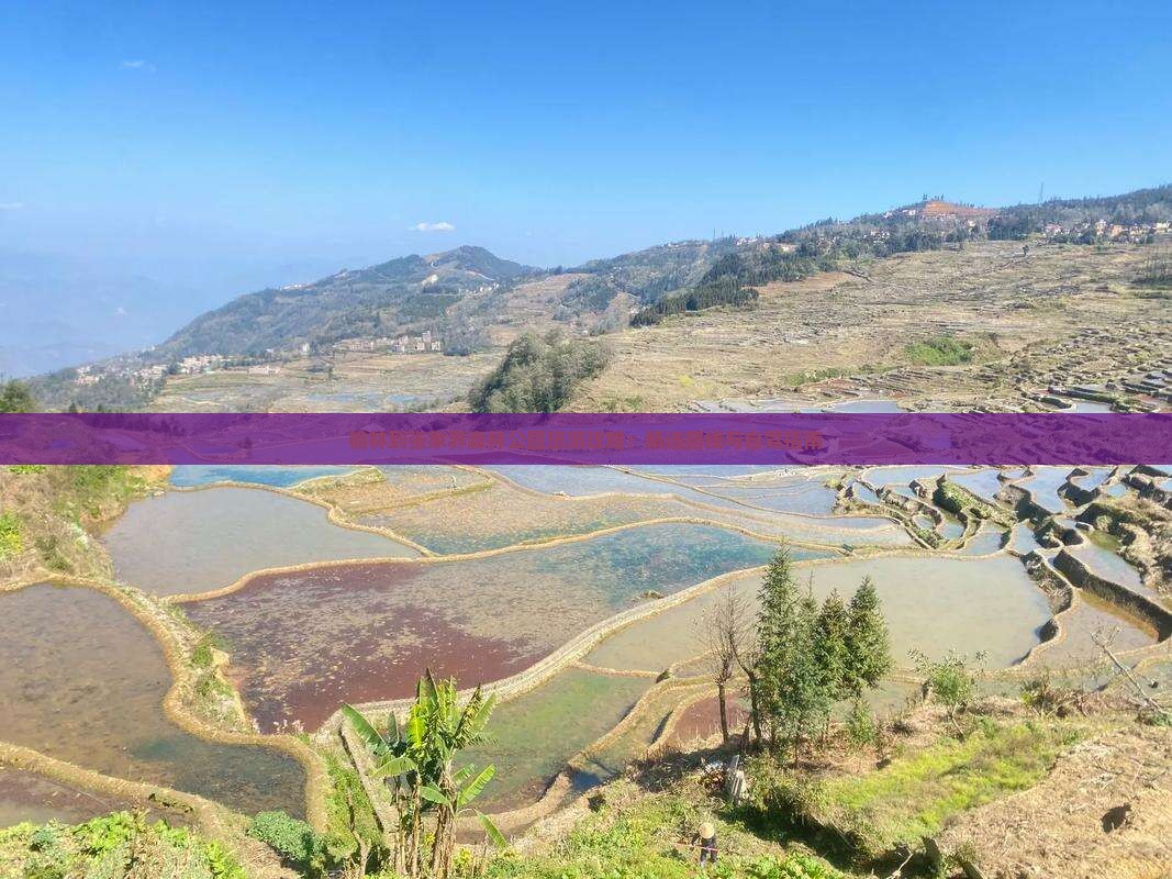 榆林到张家界森林公园景点