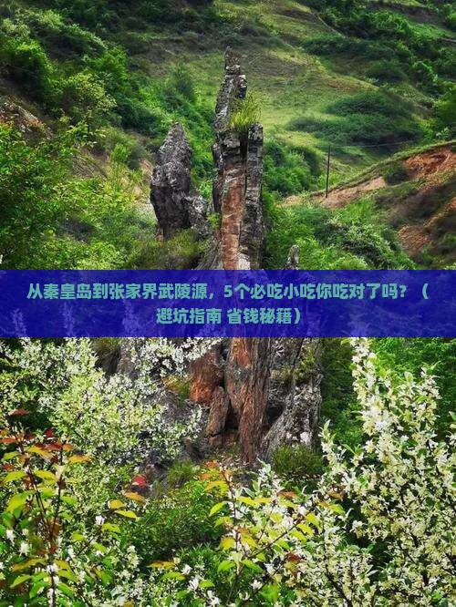秦皇岛到张家界武陵源旅游小吃