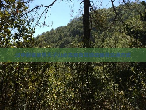 汉中到张家界天子山必去地