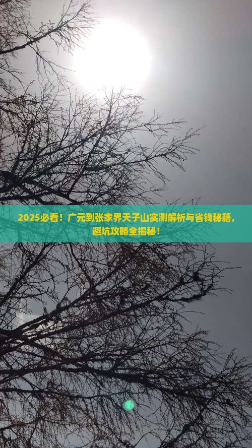 广元到张家界天子山攻略