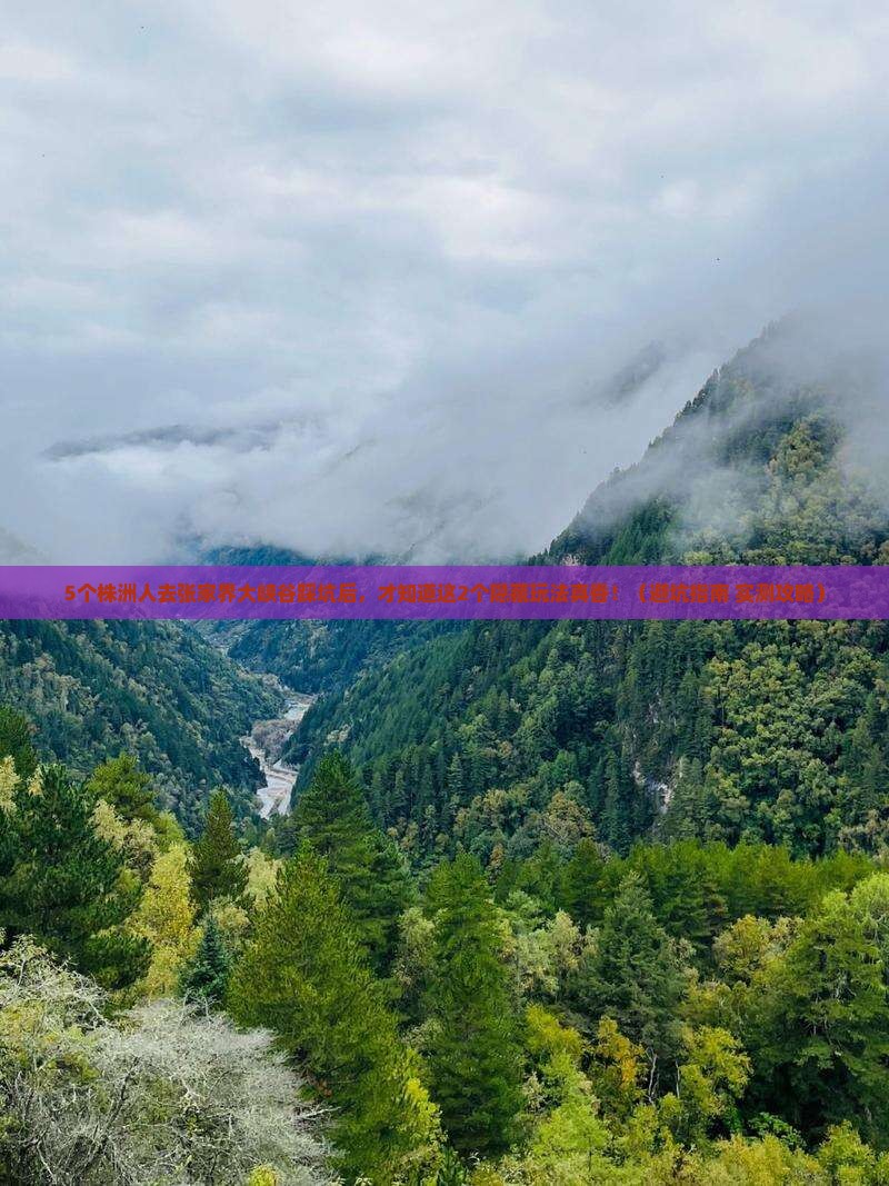 株洲到张家界大峡谷旅行社