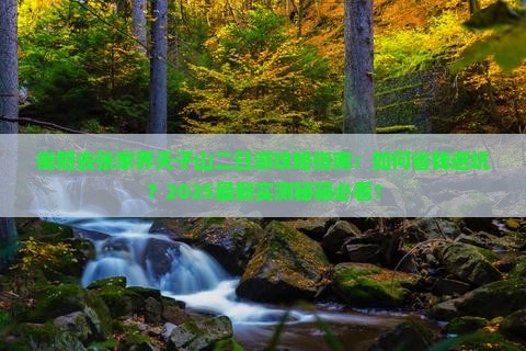 衡阳去张家界天子山二日游