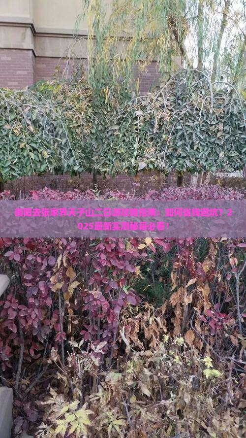 衡阳去张家界天子山二日游