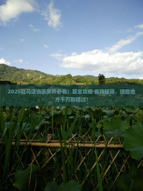 驻马店去张家界哪里玩