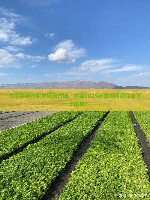 思茅去张家界凤凰古城个人游