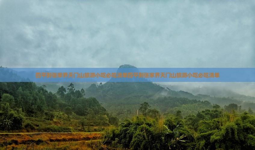 四平到张家界天门山旅游小吃