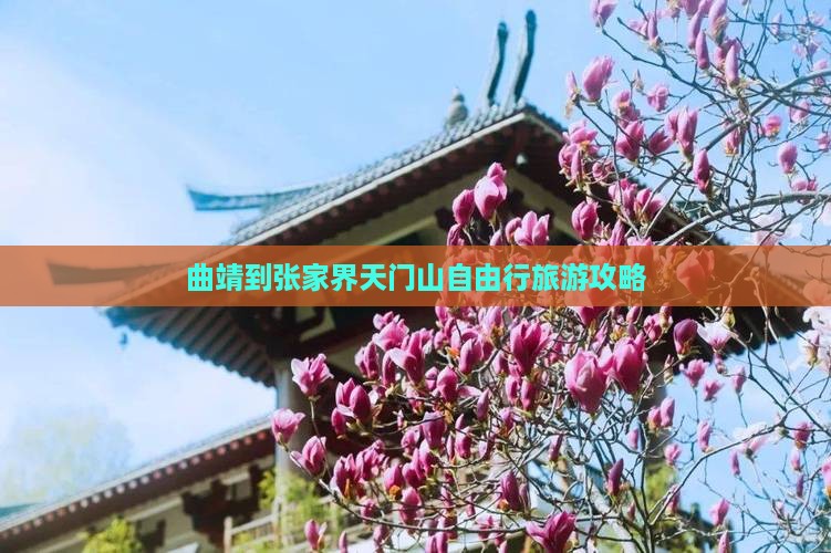 曲靖到张家界天门山自由行