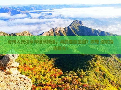 沧州去张家界玻璃栈道自由团